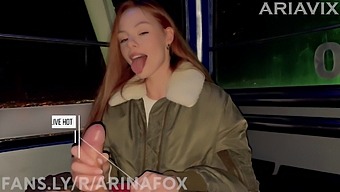 Daring Babe Gives Public Blowjob On Ferris Wheel